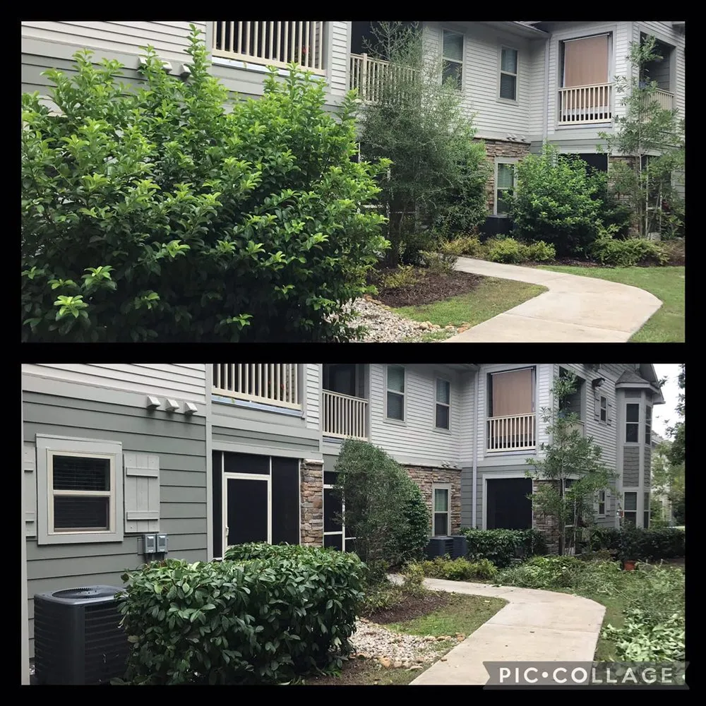 Professional landscaping services for residential properties in Savannah, GA by Executive Landscape Maintenance