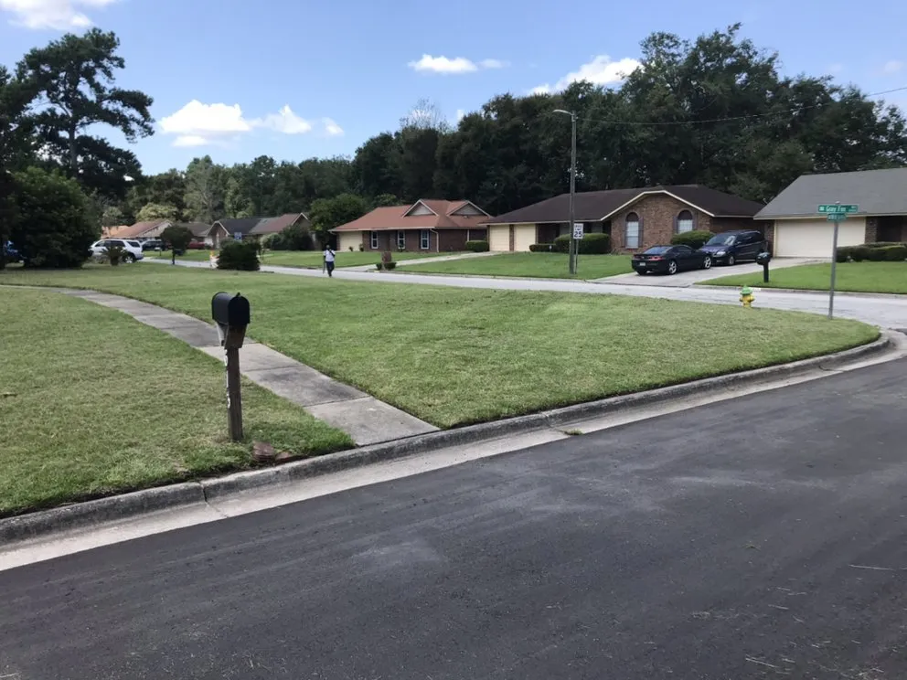 Local yard cleanup service for residential properties across Savannah, GA - Executive Landscape Maintenance