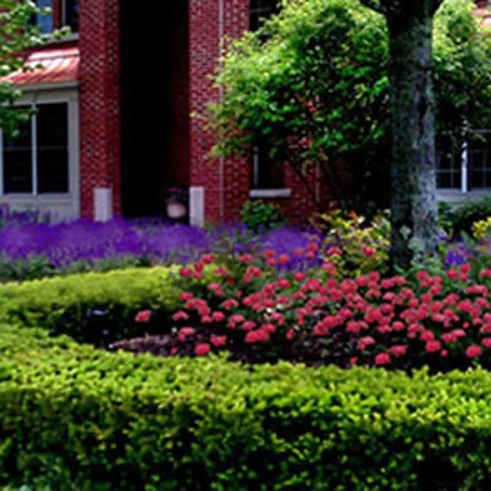 Reliable landscaping services with custom design across Northville, MI - Executive Landscape