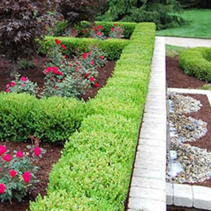 Professional landscape design experts serving Northville, MI - Executive Landscape