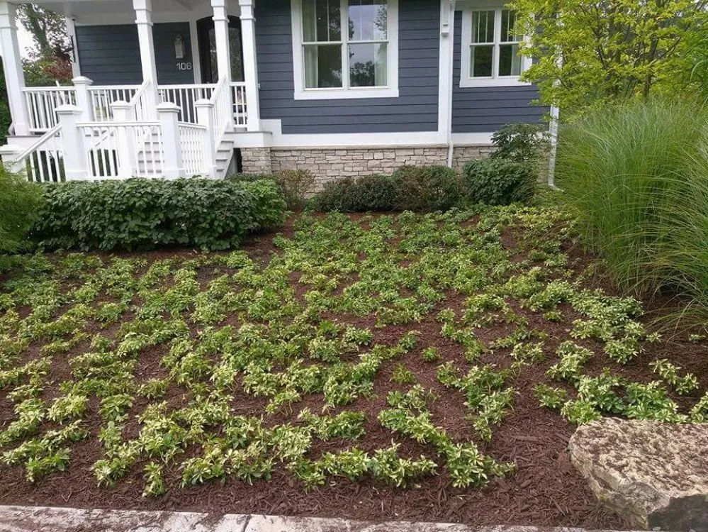 Reliable lawn mowing service experts serving Michigan City, IN - Executive Landscaping and Lawncare