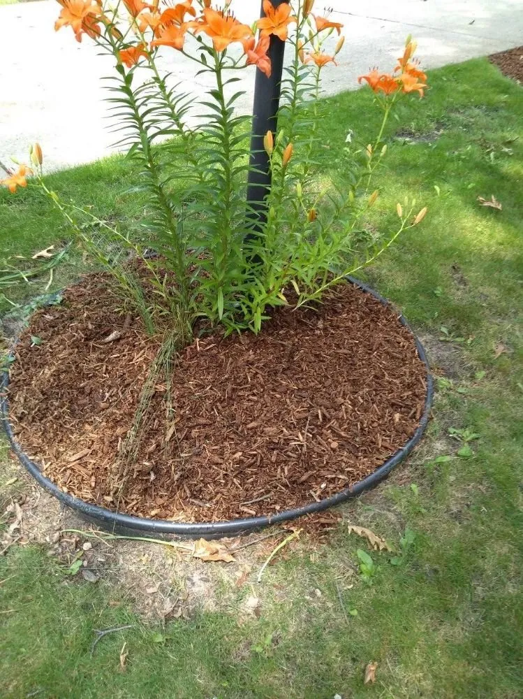 Custom landscape installation experts serving Michigan City, IN - Executive Landscaping and Lawncare