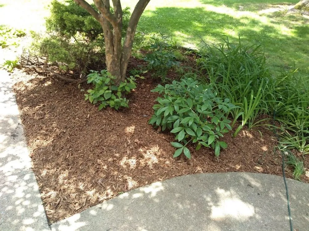 Custom yard cleanup service for homes across Michigan City, IN - Executive Landscaping and Lawncare