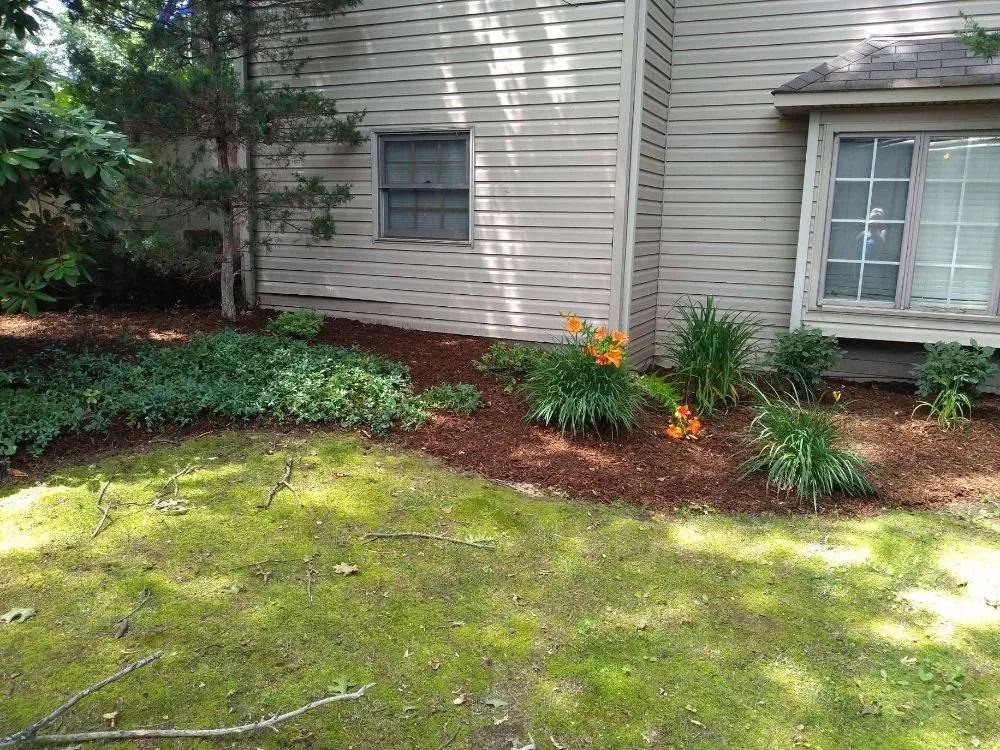 Reliable yard maintenance in Michigan City, IN - Executive Landscaping and Lawncare