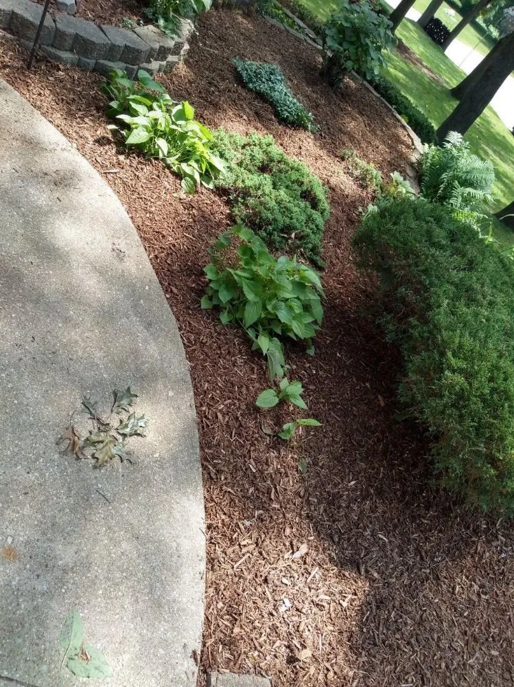 Expert outdoor landscaping in Michigan City, IN by Executive Landscaping and Lawncare