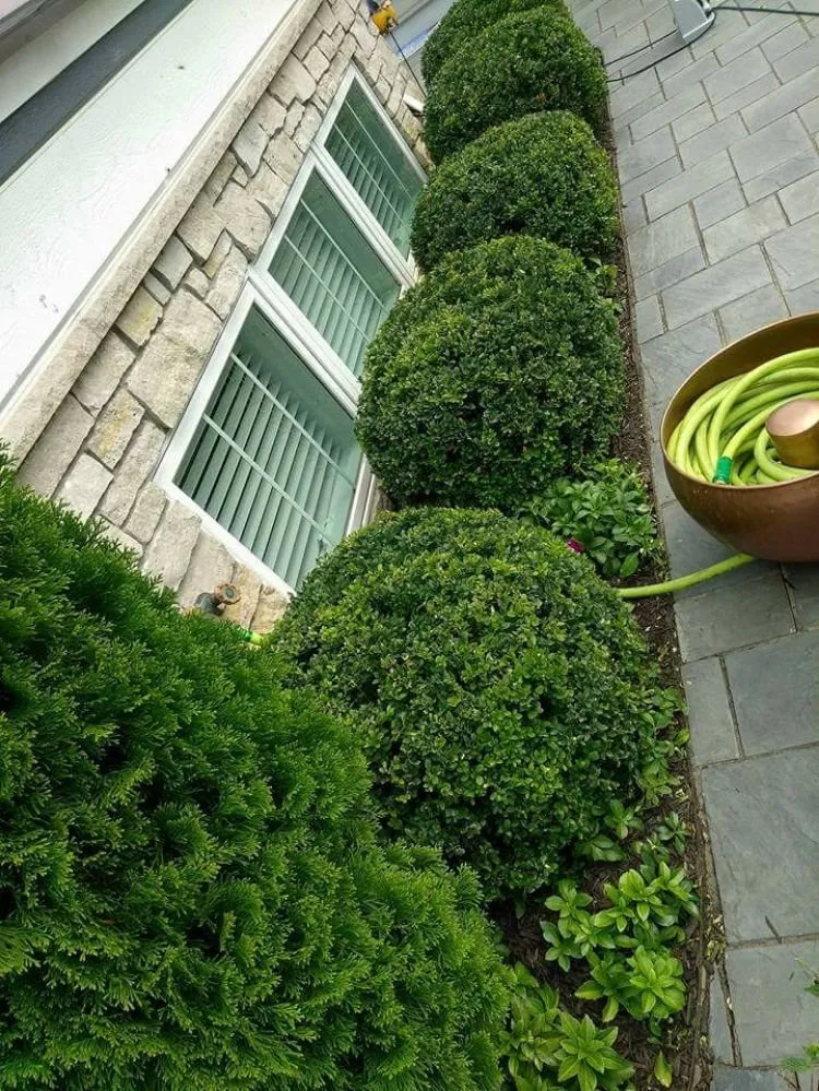 Top-rated landscape installation for year-round maintenance across Michigan City, IN - Executive Landscaping and Lawncare