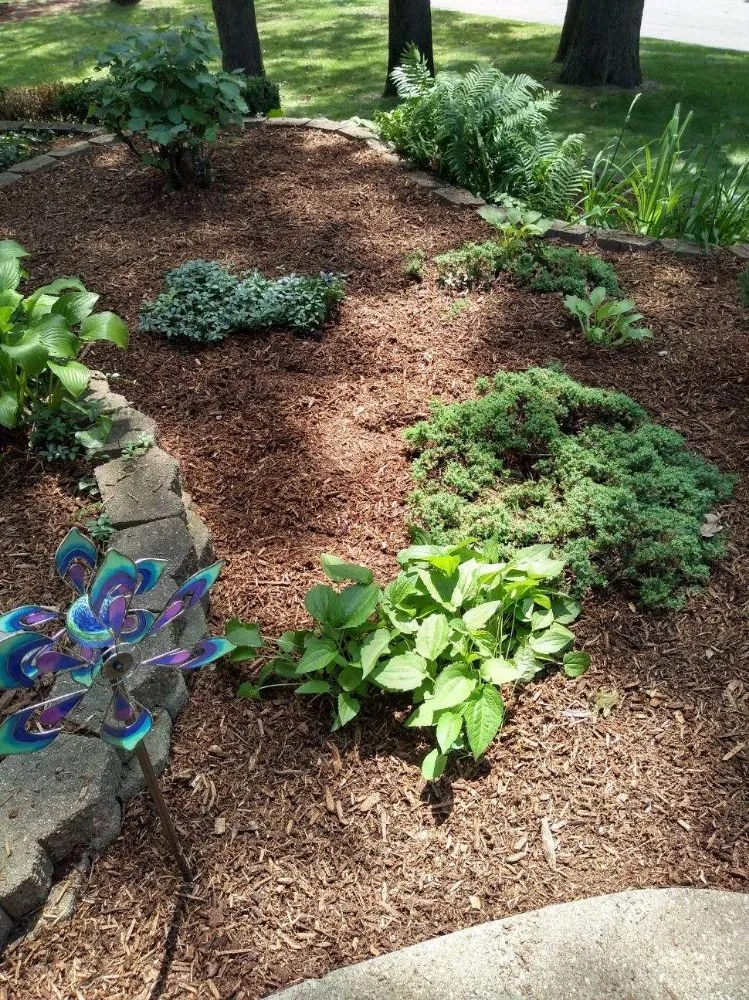 Local residential landscaping for homes in Michigan City, IN by Executive Landscaping and Lawncare