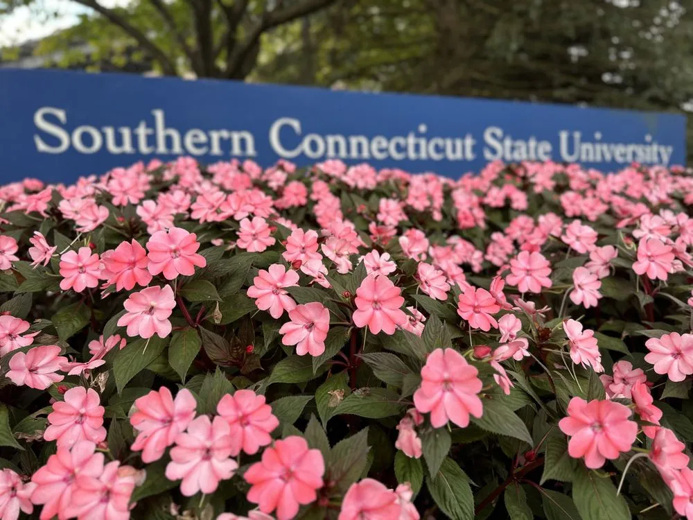 Expert yard cleanup service in North Haven, CT by Executive Landscaping