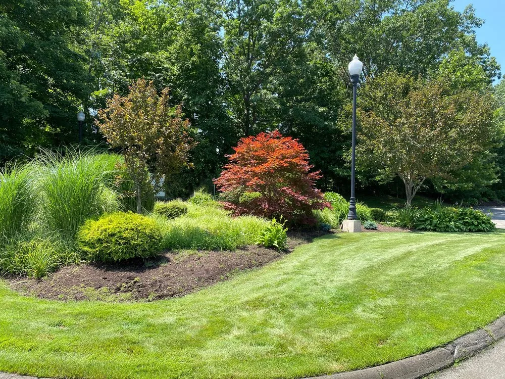Professional yard maintenance for homes in North Haven, CT by Executive Landscaping