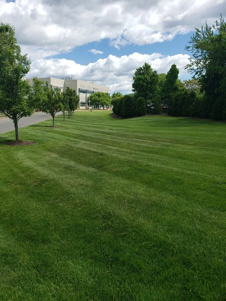 Trusted outdoor landscaping in North Haven, CT by Executive Landscaping