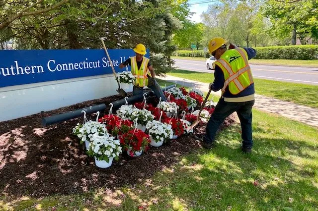 Affordable landscaping services experts serving North Haven, CT - Executive Landscaping