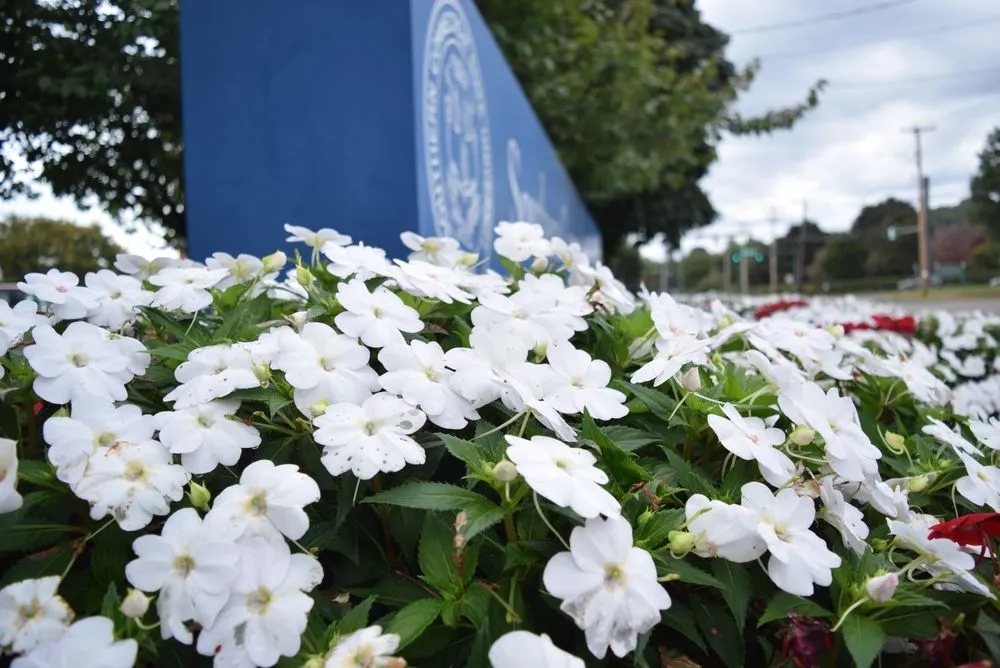 Top-rated garden landscaping experts serving North Haven, CT - Executive Landscaping