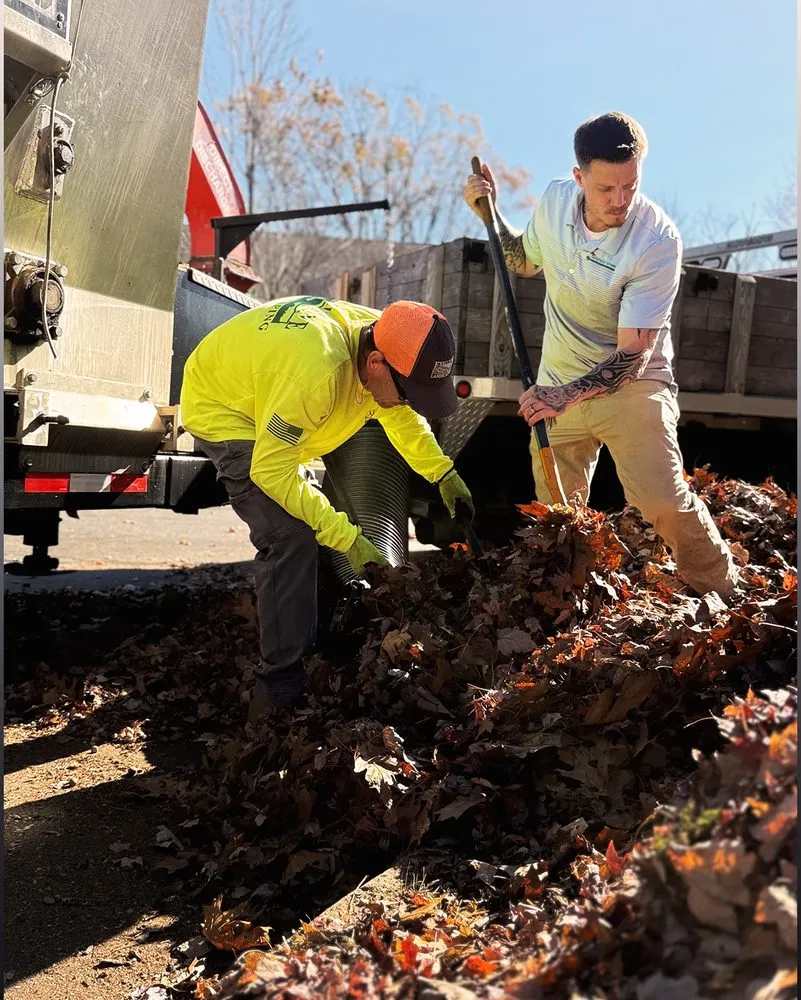 Top-rated outdoor landscaping in North Haven, CT - Executive Landscaping