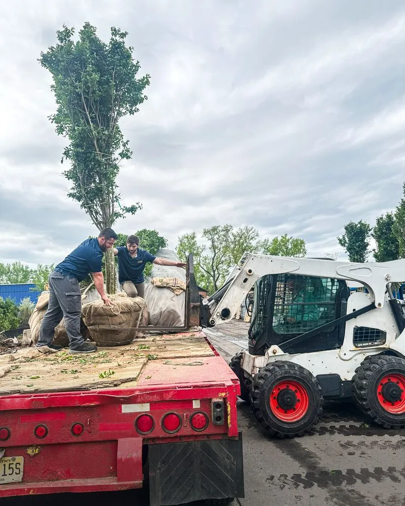 Expert yard maintenance in North Haven, CT by Executive Landscaping