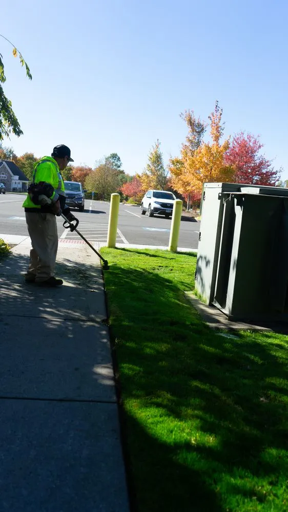 Affordable landscape design experts serving North Haven, CT - Executive Landscaping