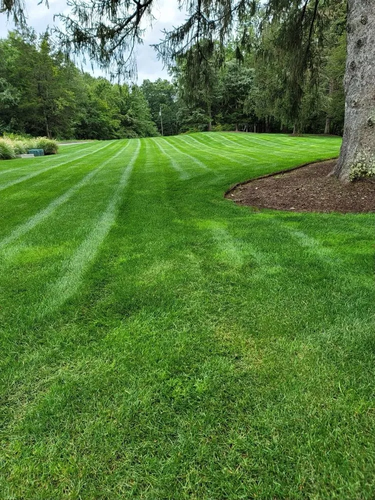 Affordable garden landscaping experts serving North Haven, CT - Executive Landscaping