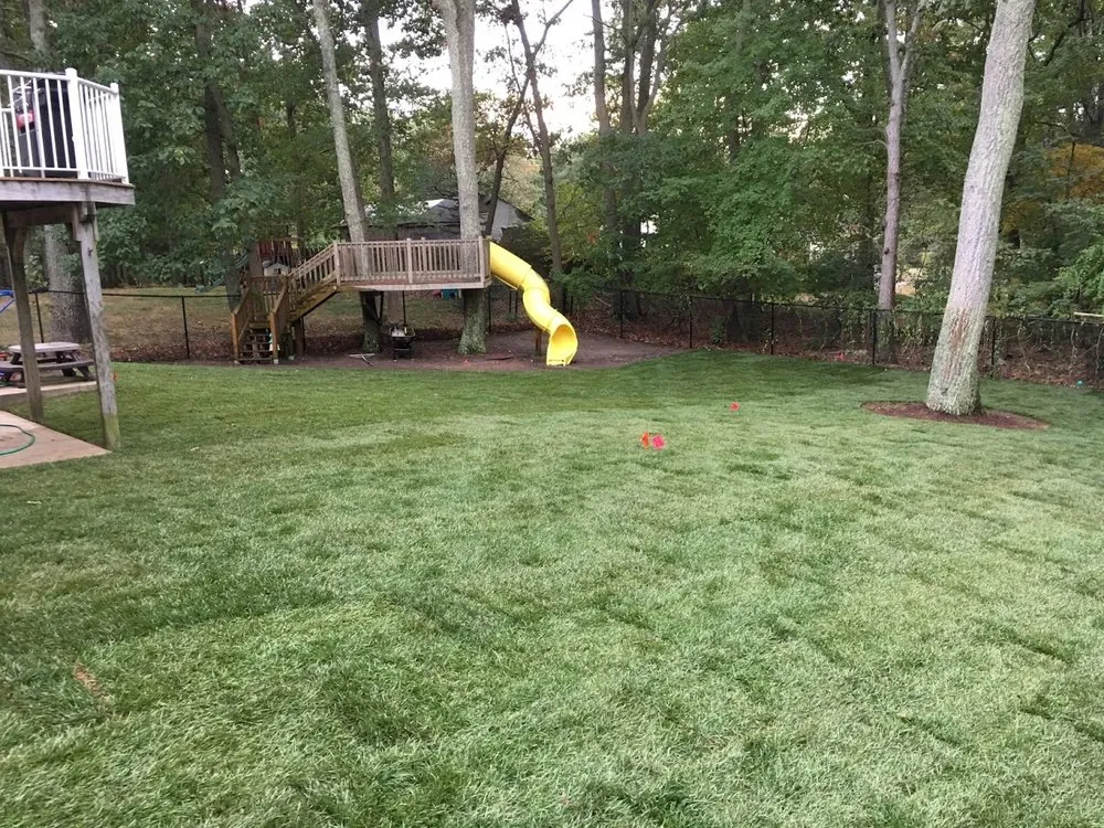 Affordable yard maintenance with custom design across Jackson, NJ - Executive Landscaping Solutions