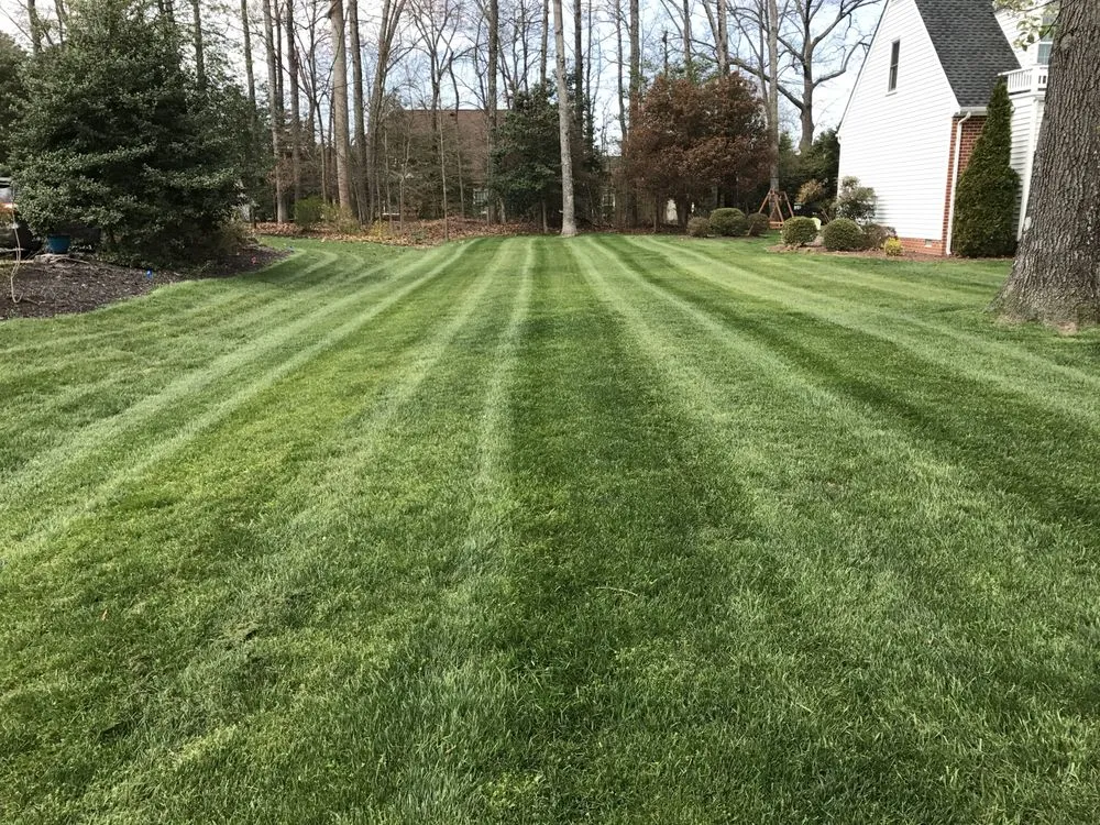 Affordable landscape installation in Mechanicsville, VA - Executive Lawn and Landscape