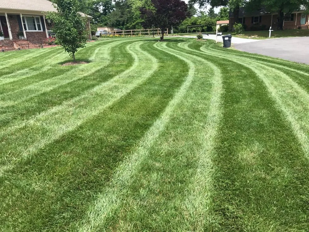 Trusted landscape installation for year-round maintenance in Mechanicsville, VA by Executive Lawn and Landscape