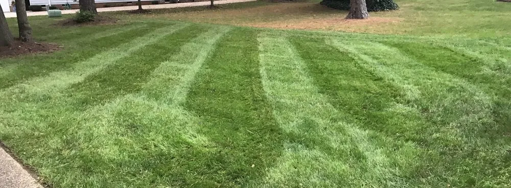 Top-rated landscape installation experts serving Mechanicsville, VA - Executive Lawn and Landscape