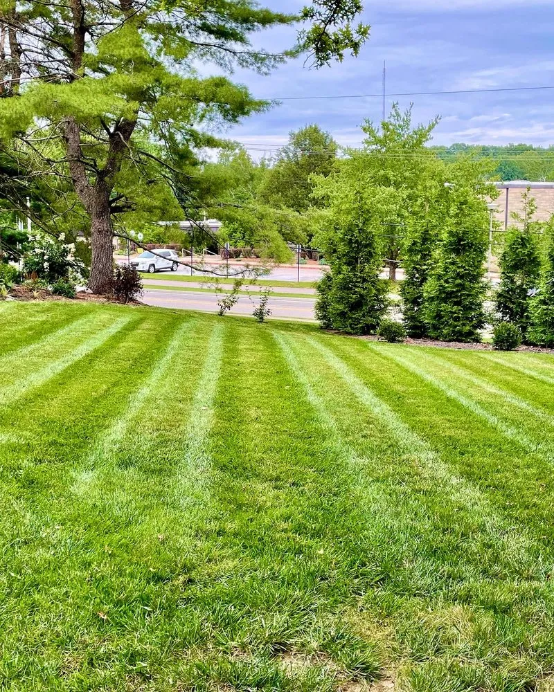 Top-rated landscaping services for outdoor upgrades in Bloomington, IN by Executive Lawn Care