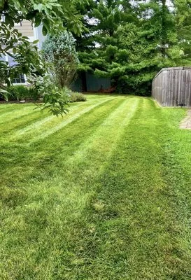 Executive Lawn Care Logo