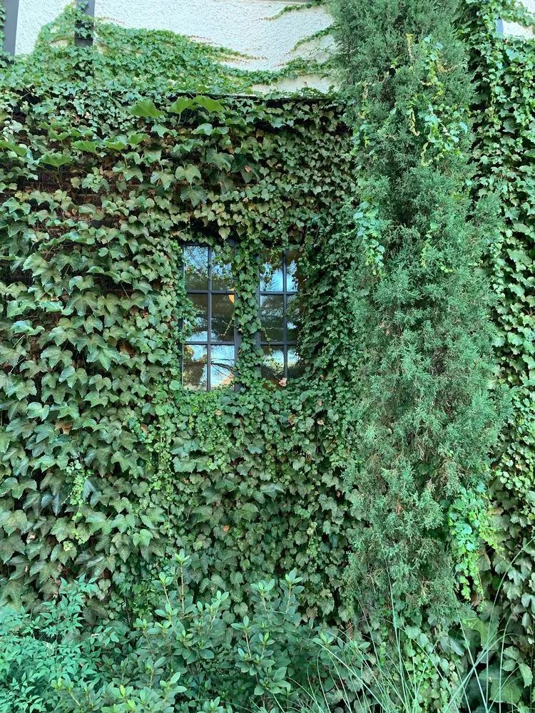 Trusted landscaping services in Claremore, OK by Executive Lawn Care