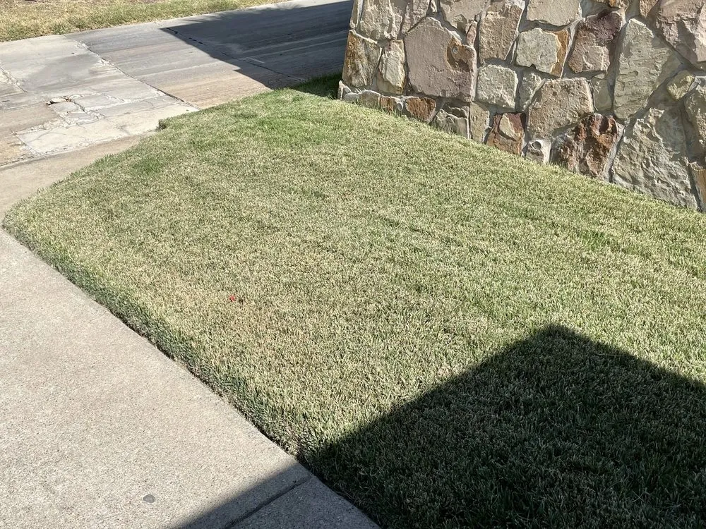 Reliable garden landscaping in Frisco, TX - Executive Lawn Care