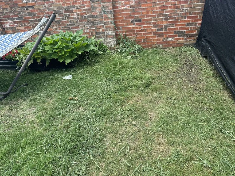 Top-rated lawn care service in Frisco, TX by Executive Lawn Care