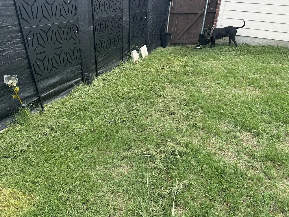 Custom residential landscaping near you in Frisco, TX by Executive Lawn Care