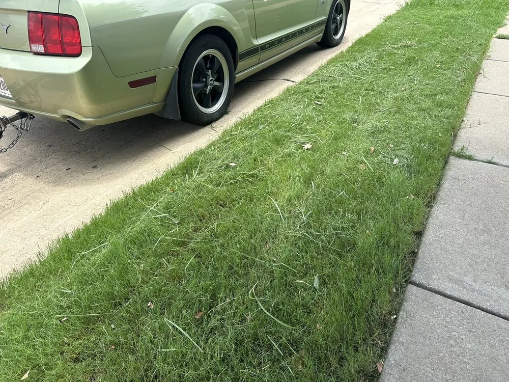 Expert yard maintenance in Frisco, TX - Executive Lawn Care