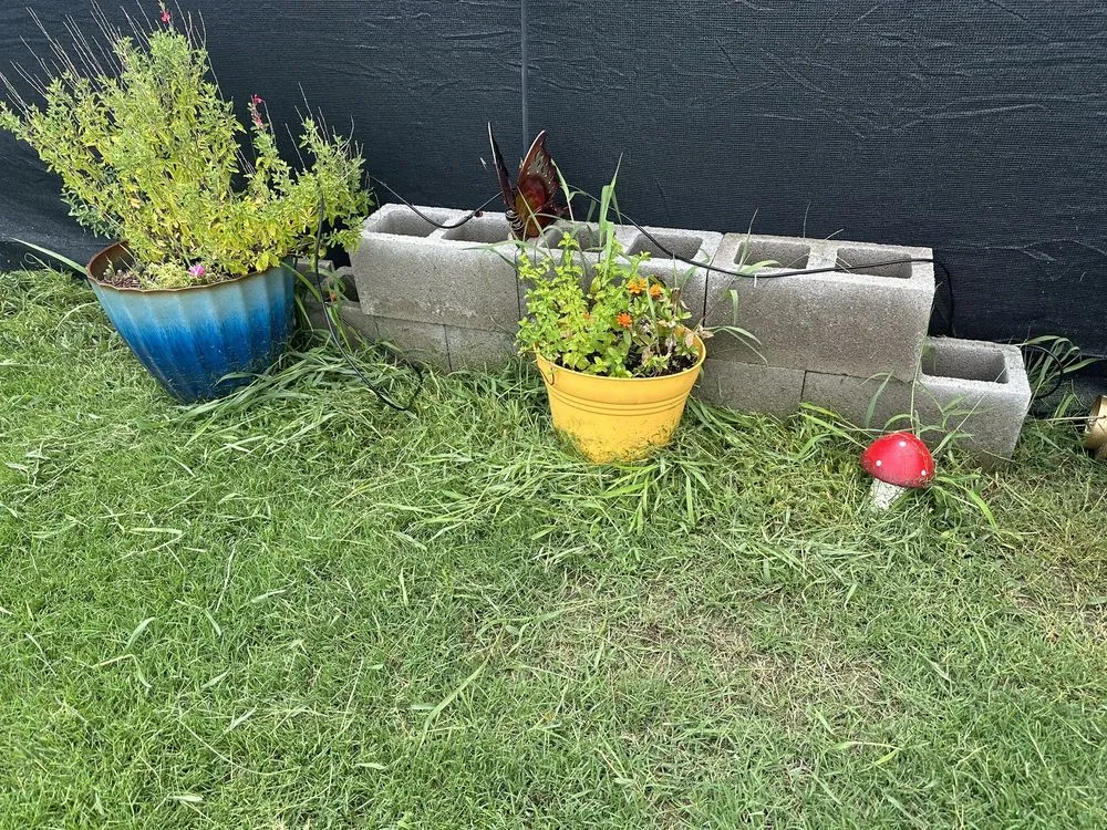 Custom yard cleanup service experts serving Frisco, TX - Executive Lawn Care