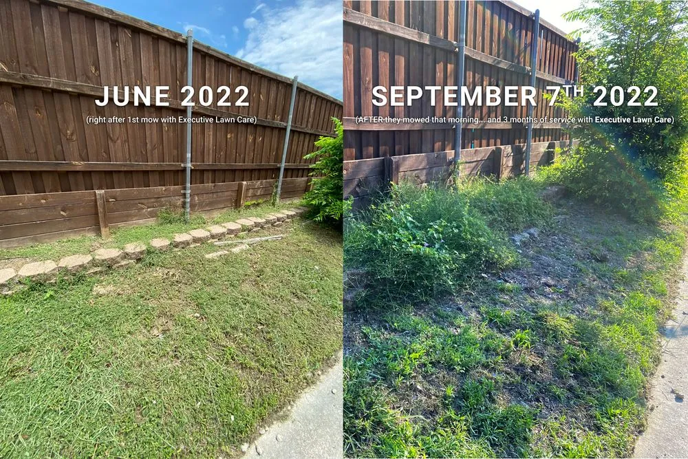 Expert residential landscaping in Frisco, TX by Executive Lawn Care