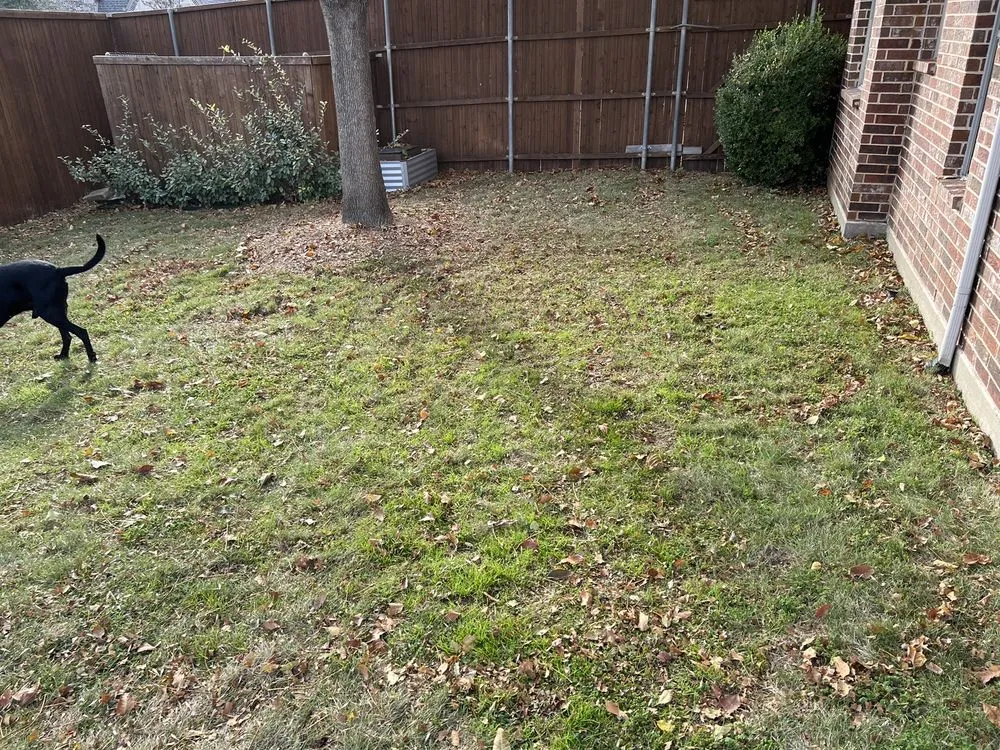 Custom landscaping services for homes in McKinney, TX by Executive Lawn Care