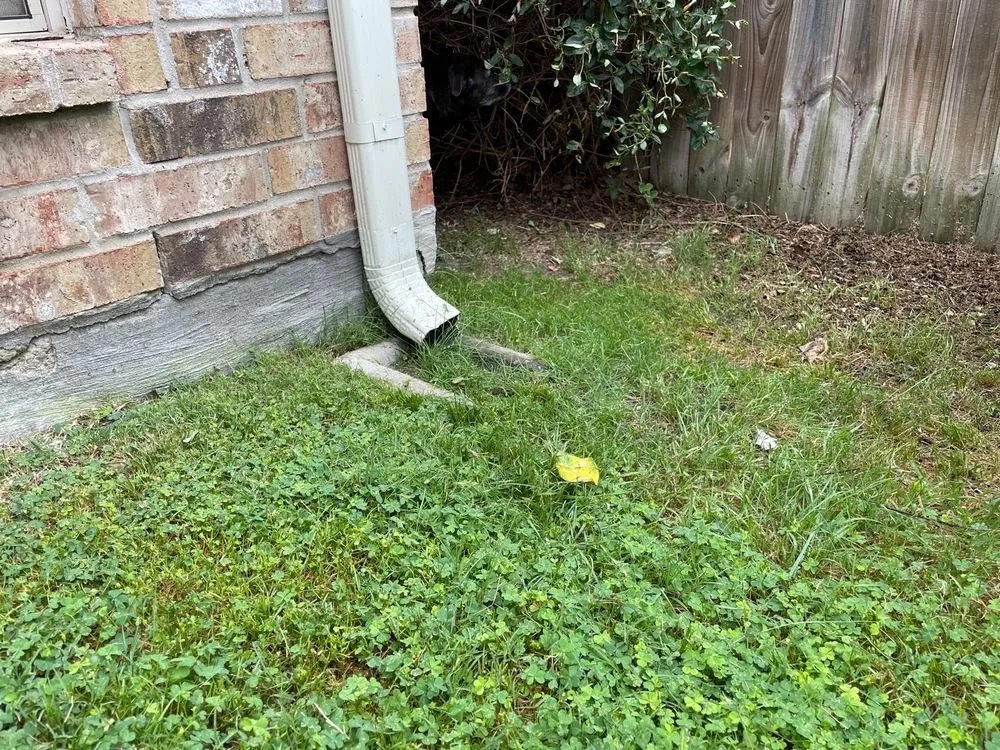 Top-rated outdoor landscaping for year-round maintenance in McKinney, TX by Executive Lawn Care