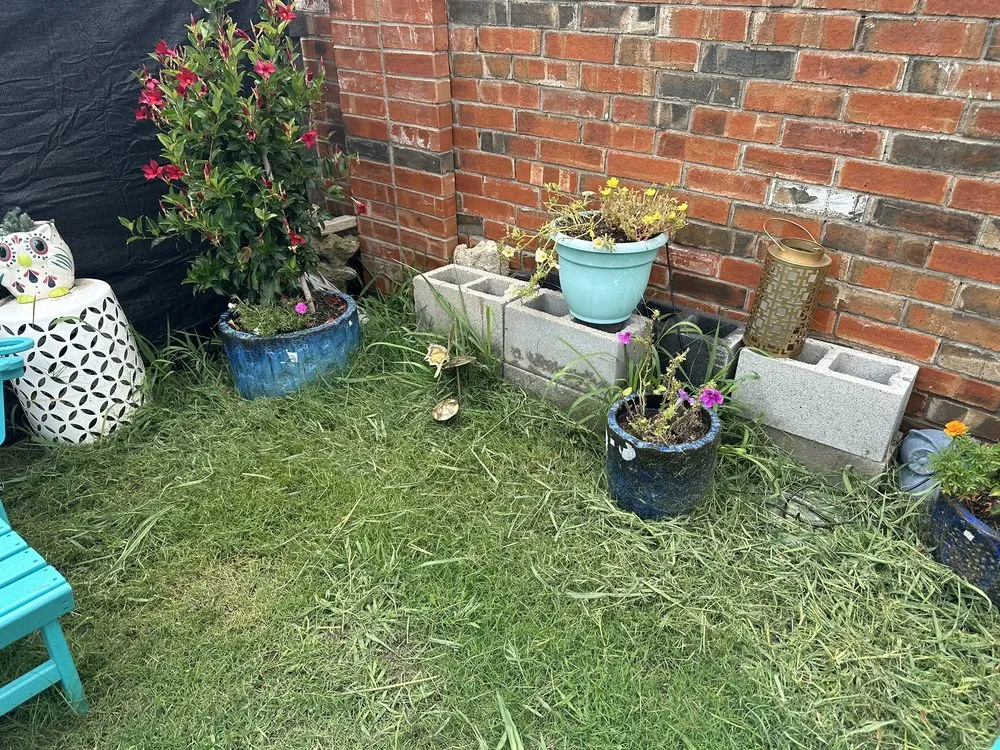 Reliable outdoor landscaping for residential properties across McKinney, TX - Executive Lawn Care