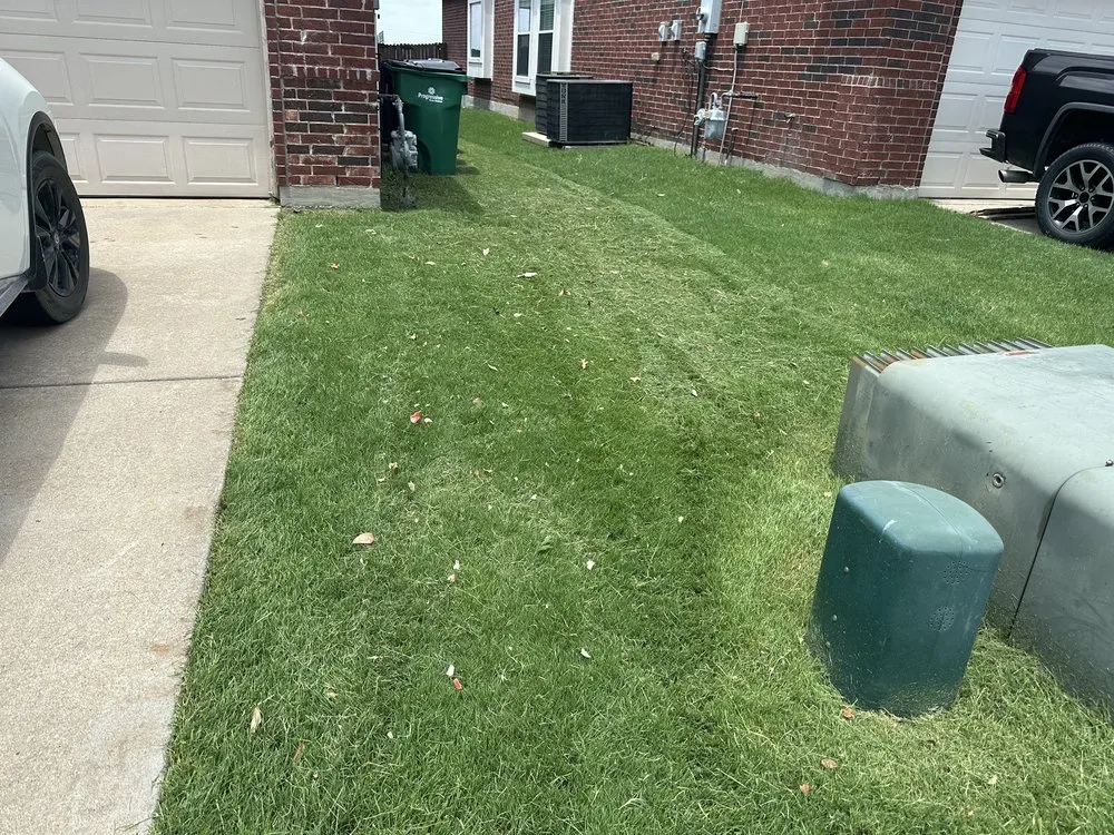 Reliable lawn mowing service in McKinney, TX - Executive Lawn Care