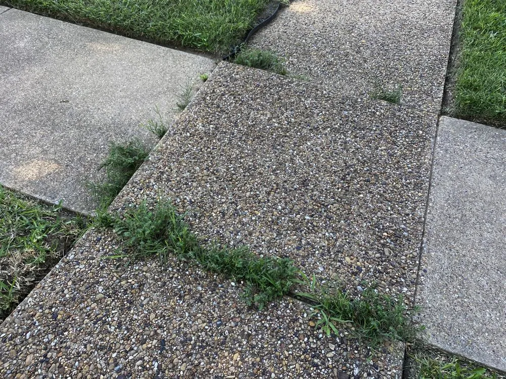 Local landscape installation experts serving McKinney, TX - Executive Lawn Care