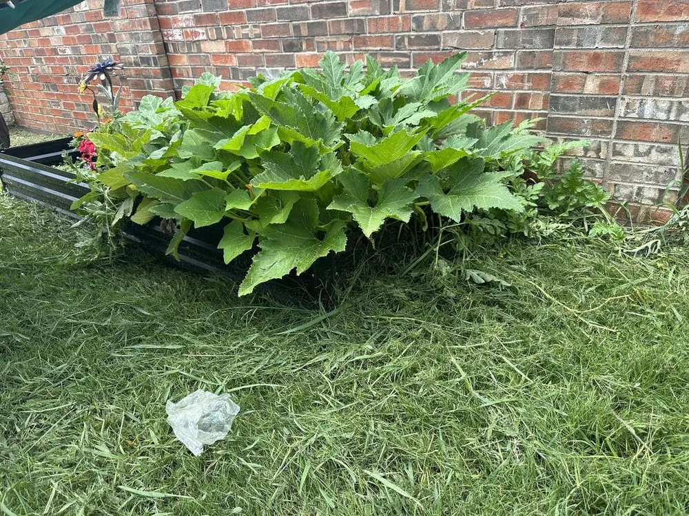 Reliable lawn care service in McKinney, TX - Executive Lawn Care