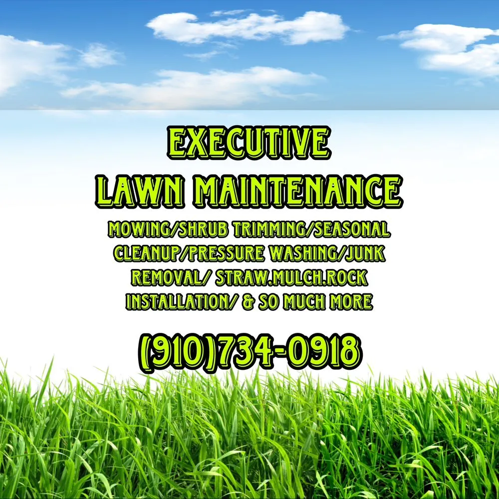 Professional lawn mowing service for homes in Lumberton, NC by Executive Lawn Maintenance