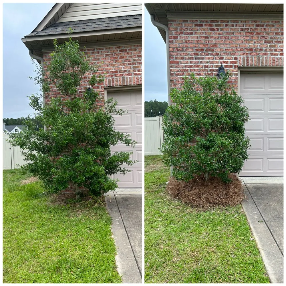 Expert outdoor landscaping in Lumberton, NC by Executive Lawn Maintenance