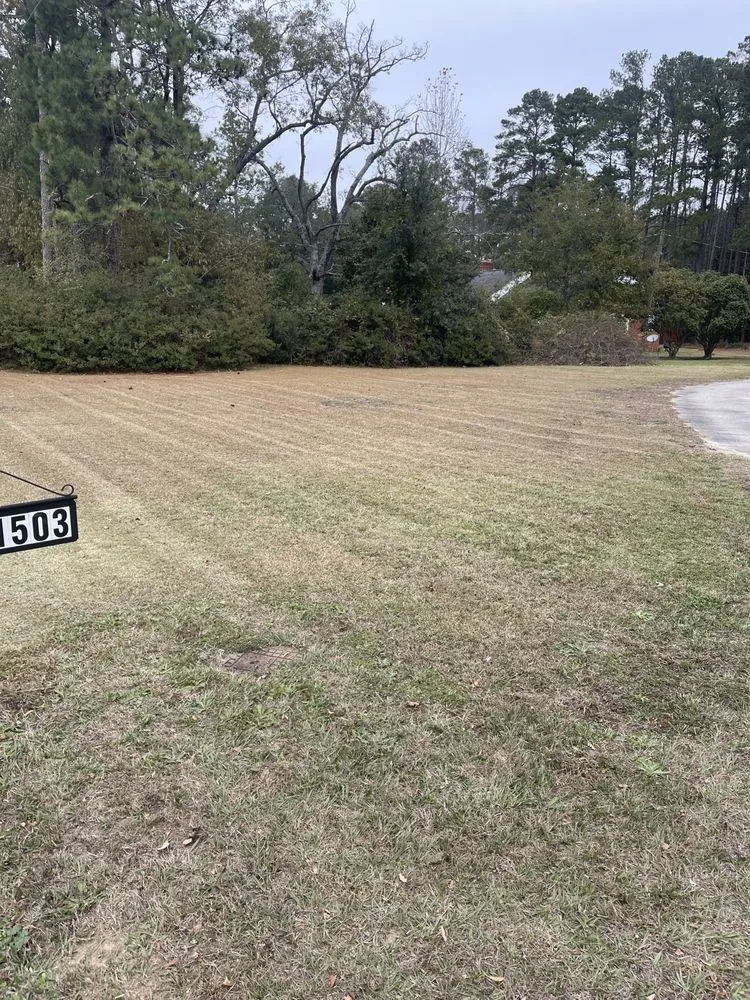 Custom landscape design for outdoor upgrades across Lumberton, NC - Executive Lawn Maintenance