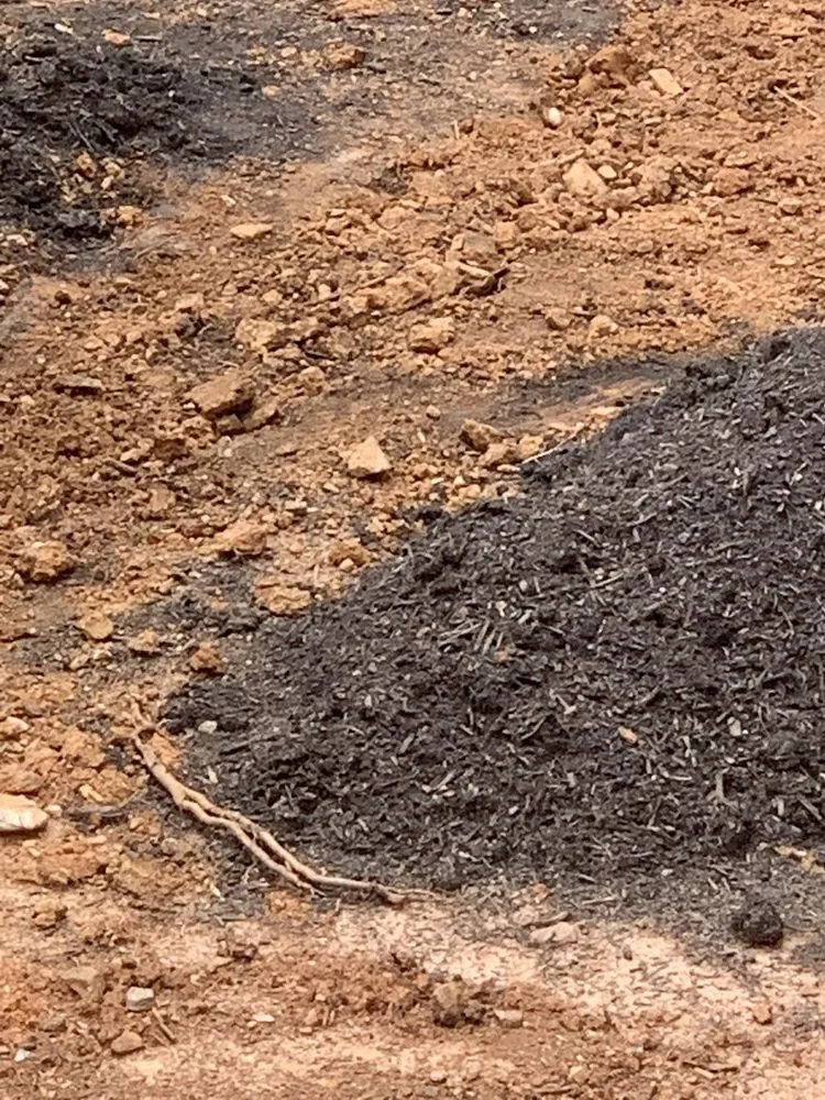 Custom landscape installation in Marietta, GA by Executive Lawn Scapes