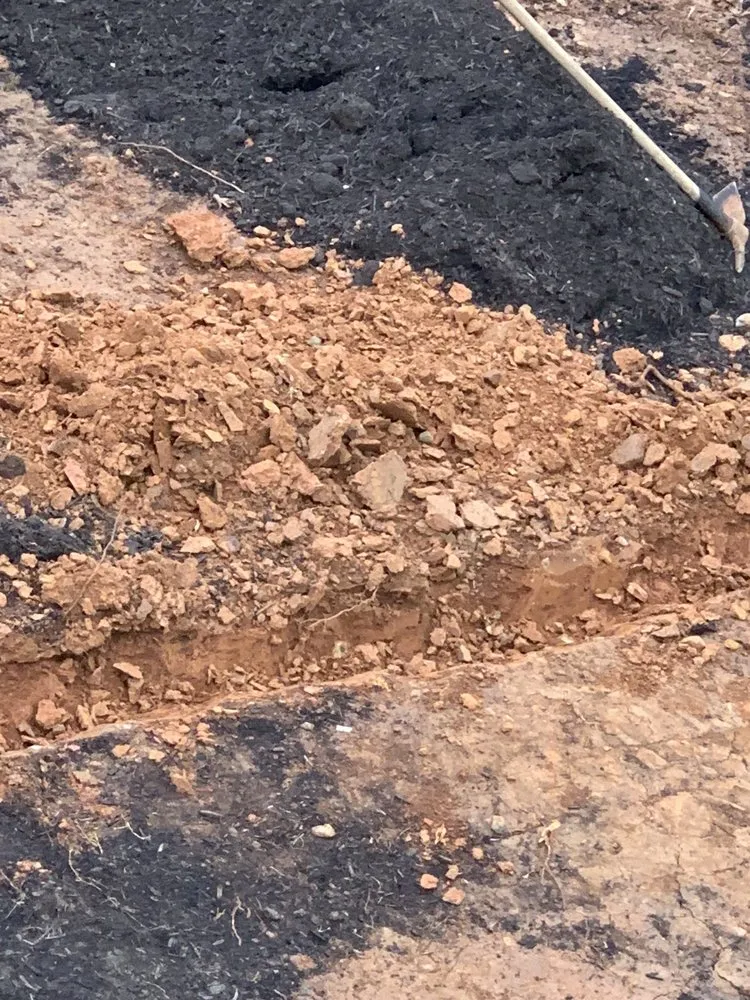 Affordable yard cleanup service experts serving Marietta, GA - Executive Lawn Scapes