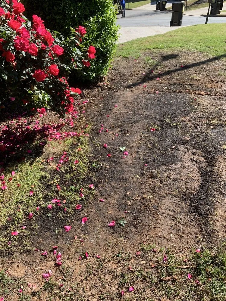 Expert lawn care service in Marietta, GA - Executive Lawn Scapes