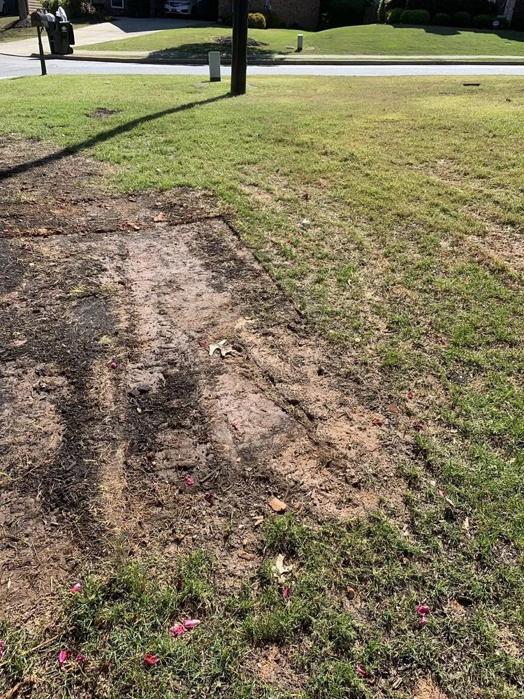 Local outdoor landscaping for homes in Marietta, GA by Executive Lawn Scapes