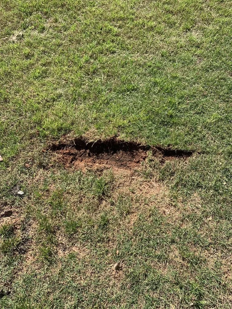 Trusted yard maintenance experts serving Marietta, GA - Executive Lawn Scapes