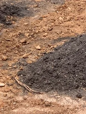 Executive Lawn Scapes Logo