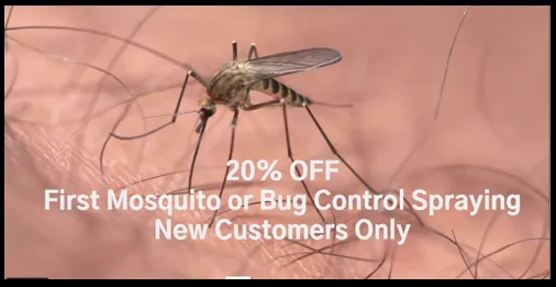 Expert lawn care service for year-round maintenance in Rockton, IL by Executive Lawn Services & Sealcoating