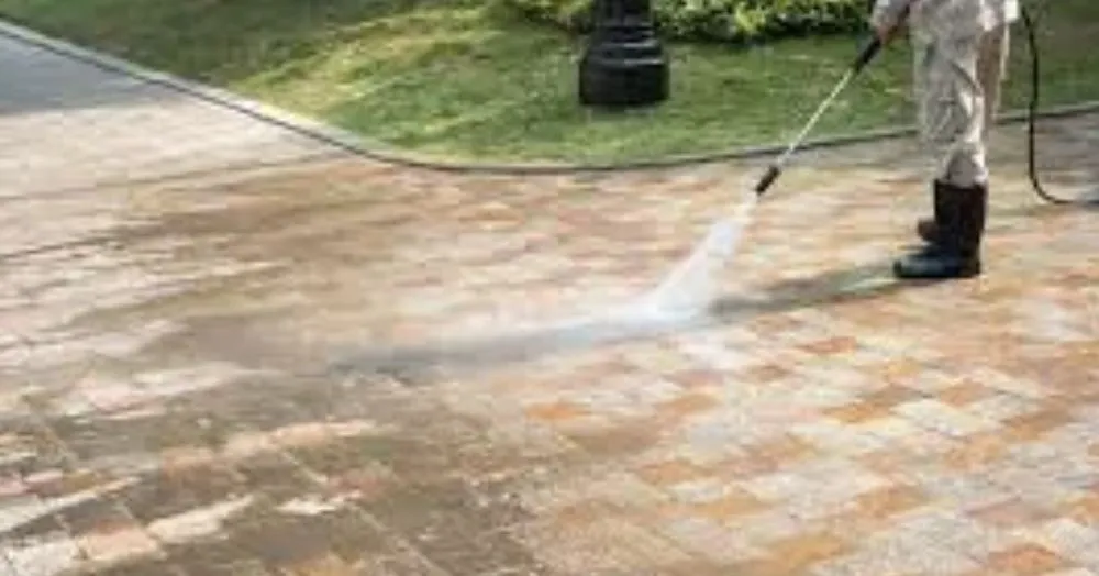 Top-rated residential landscaping in Wake Forest, NC by Executive Service Contractors